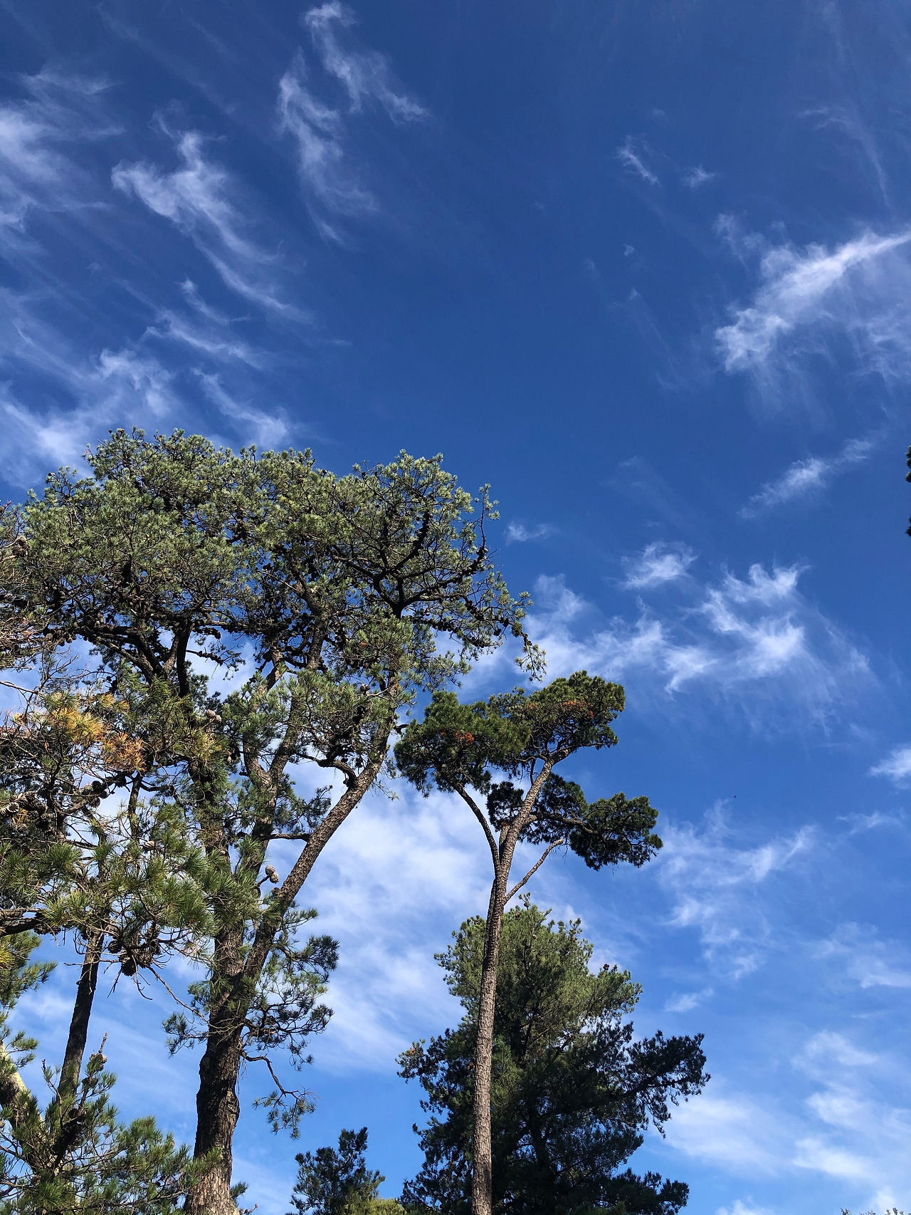 하늘 -브런치 북 표지.jpg