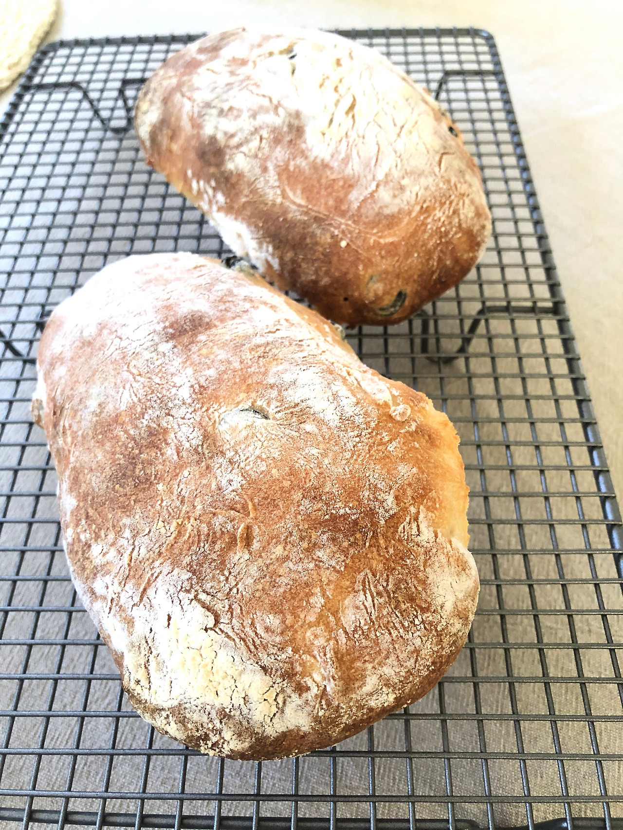 치아바타 완성.jpg