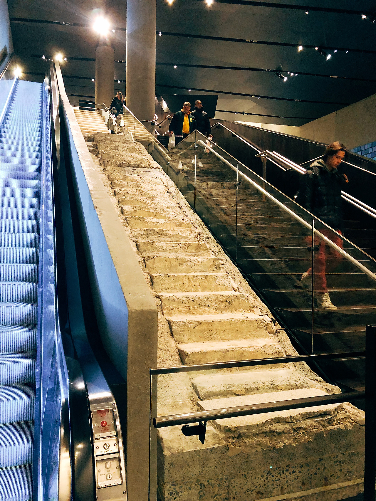 사진 2018. 2. 9. 18 00 24.jpg