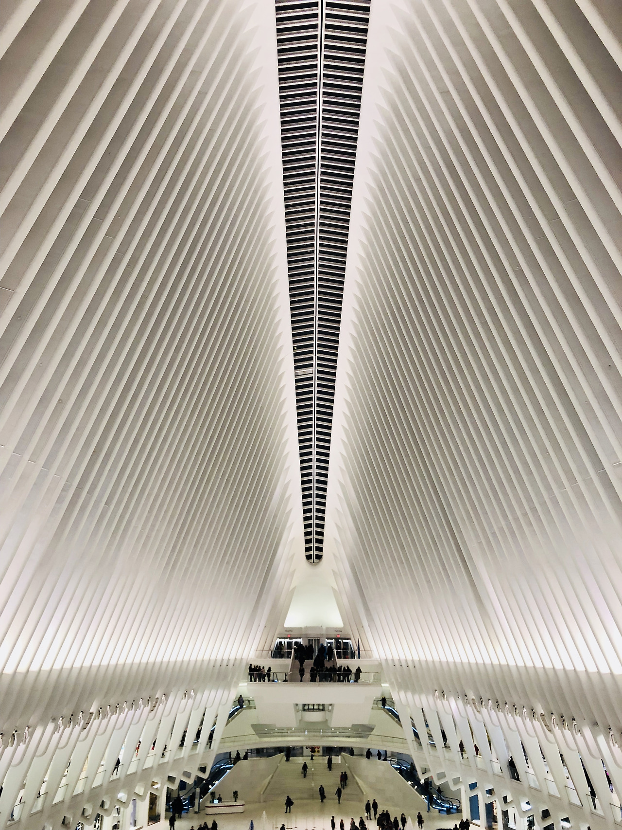 사진 2018. 2. 9. 19 25 19.jpg