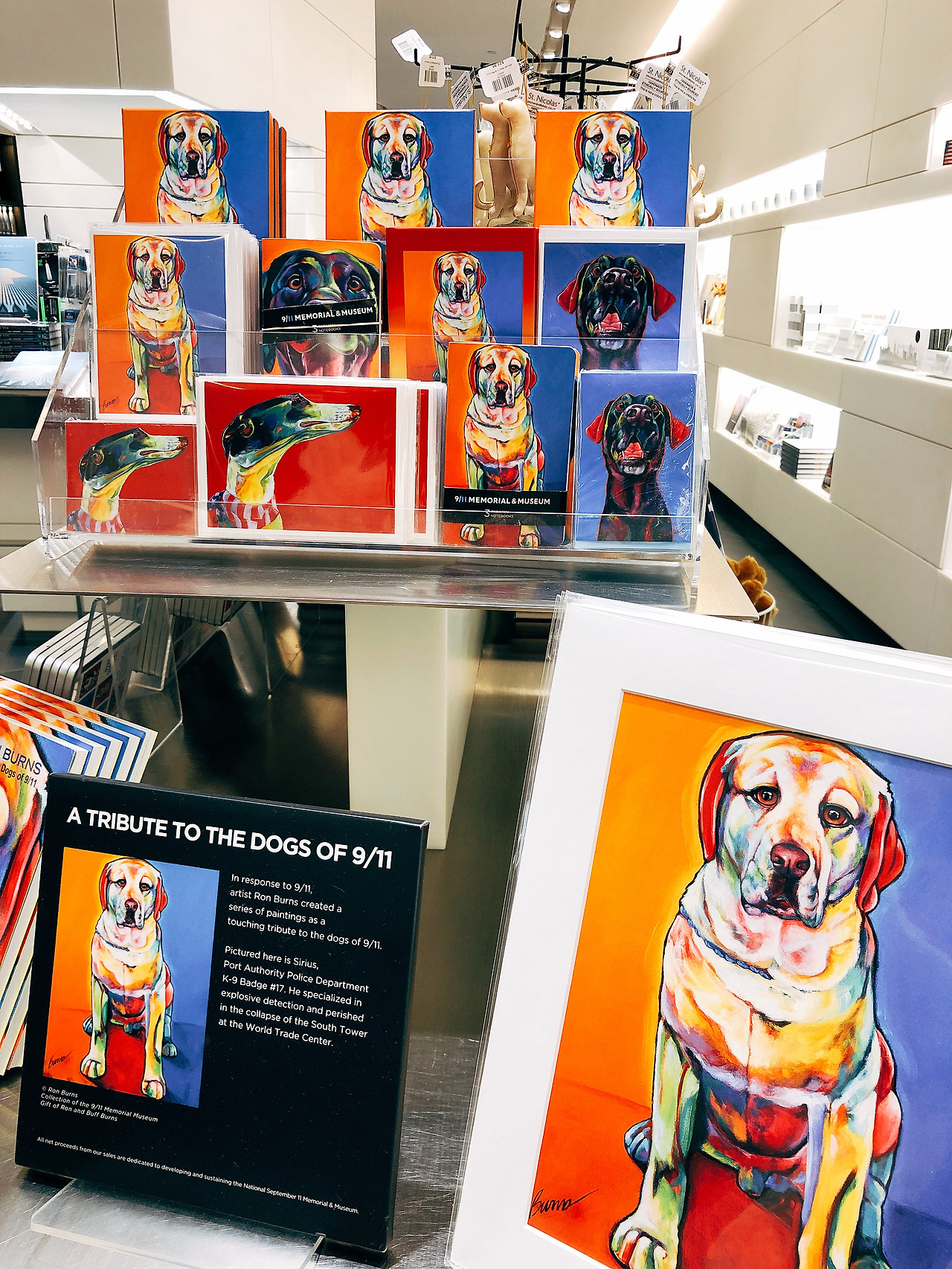 사진 2018. 2. 9. 18 52 18.jpg