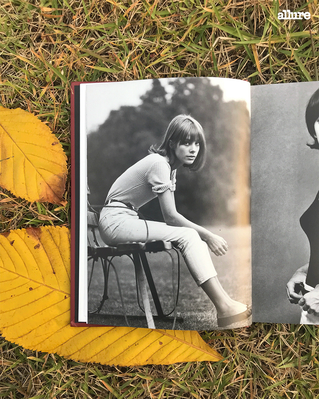 171020_제인버킨_0007_레이어 2.jpg