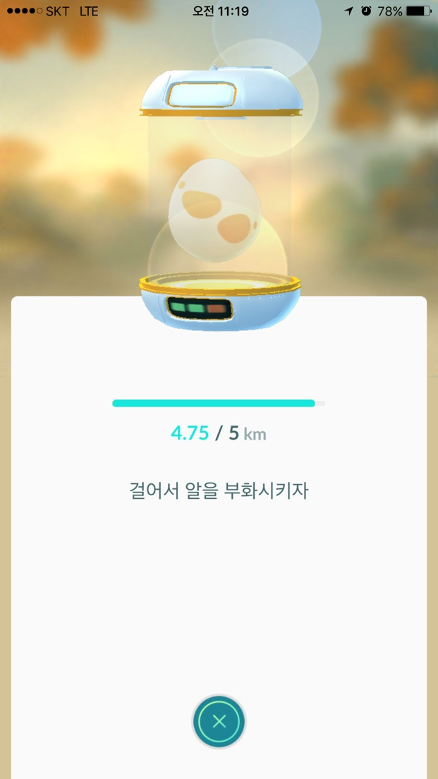 Image uploaded from iOS (4).jpg