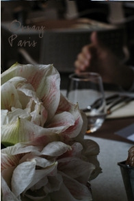 2016-12-06 17;05;11.jpg