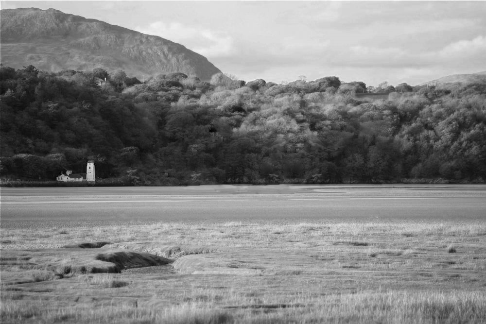 무진의 웨일즈.jpg