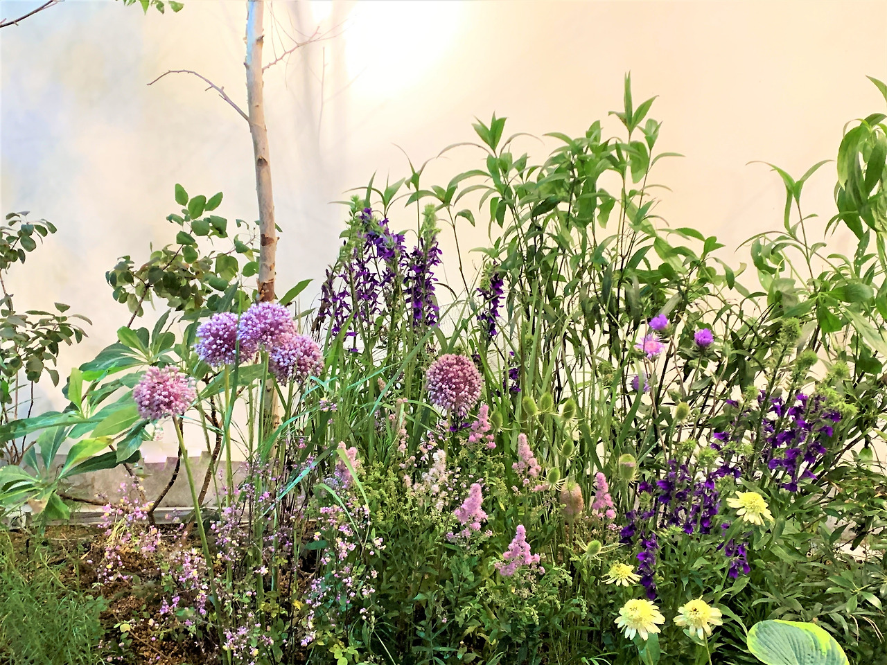 KakaoTalk_20210720_105205488_16 (2).jpg