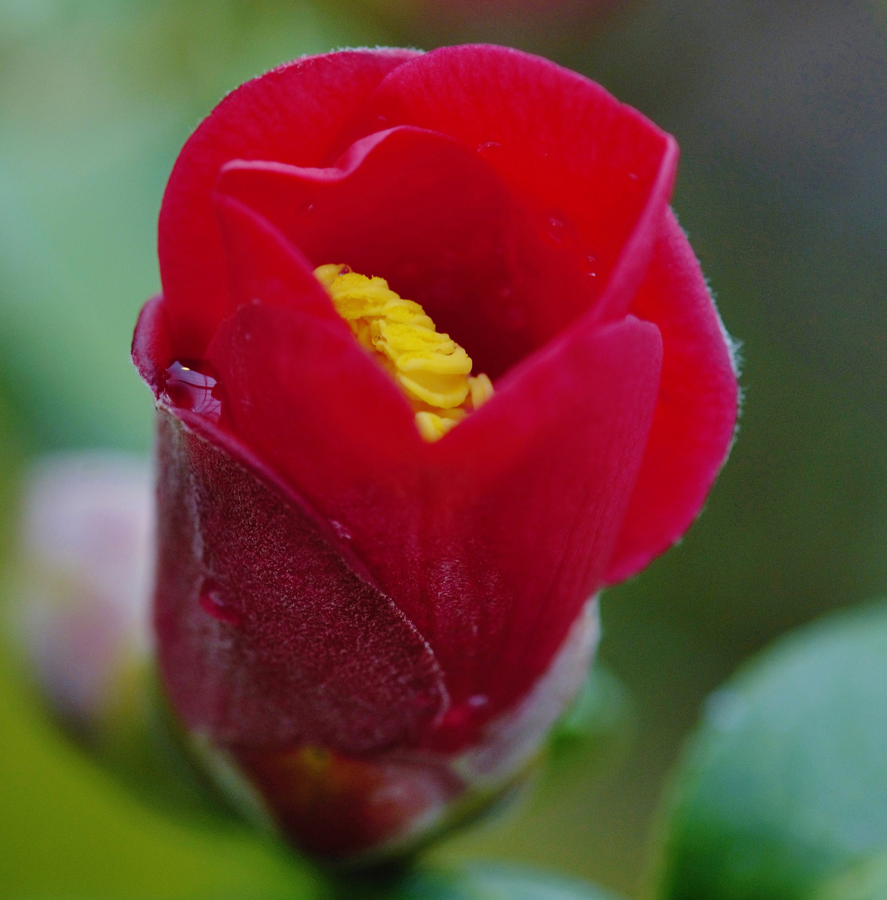 너무 이쁜 그대  (2).jpg