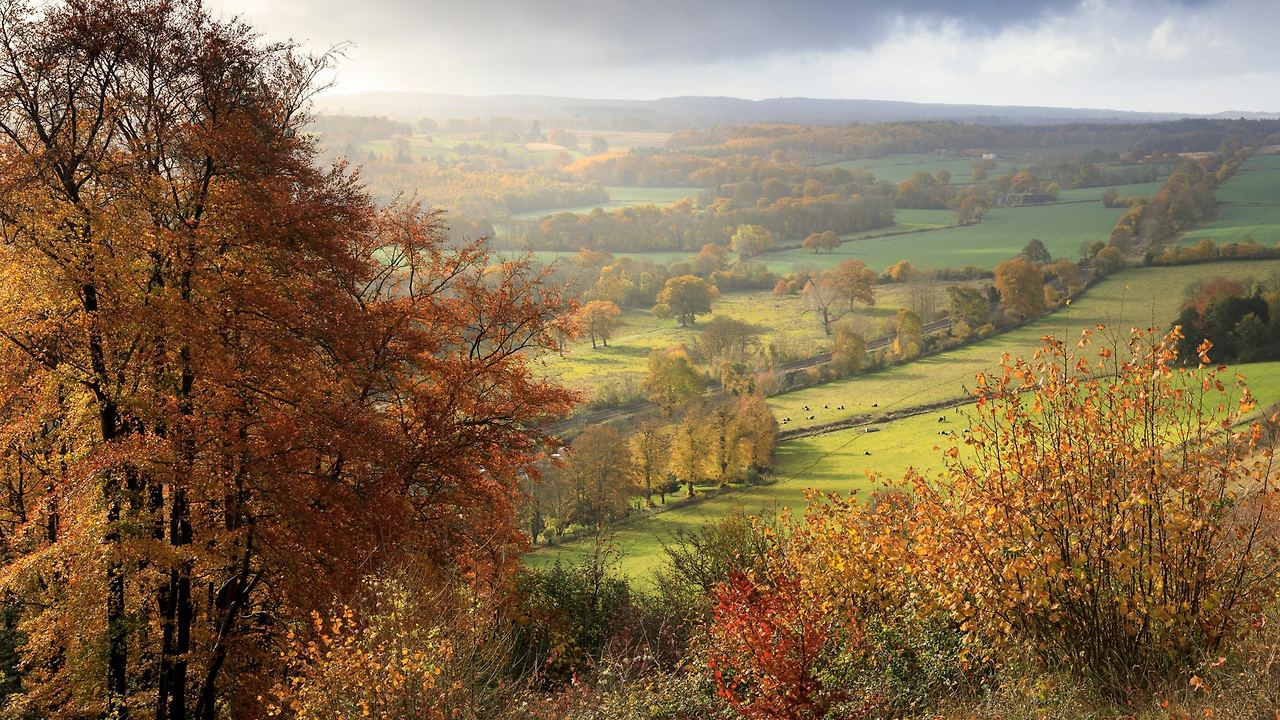 autumn-view-denbies-hillside-surrey-1441043.jpg
