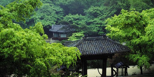 배병우의 창덕궁.jpg