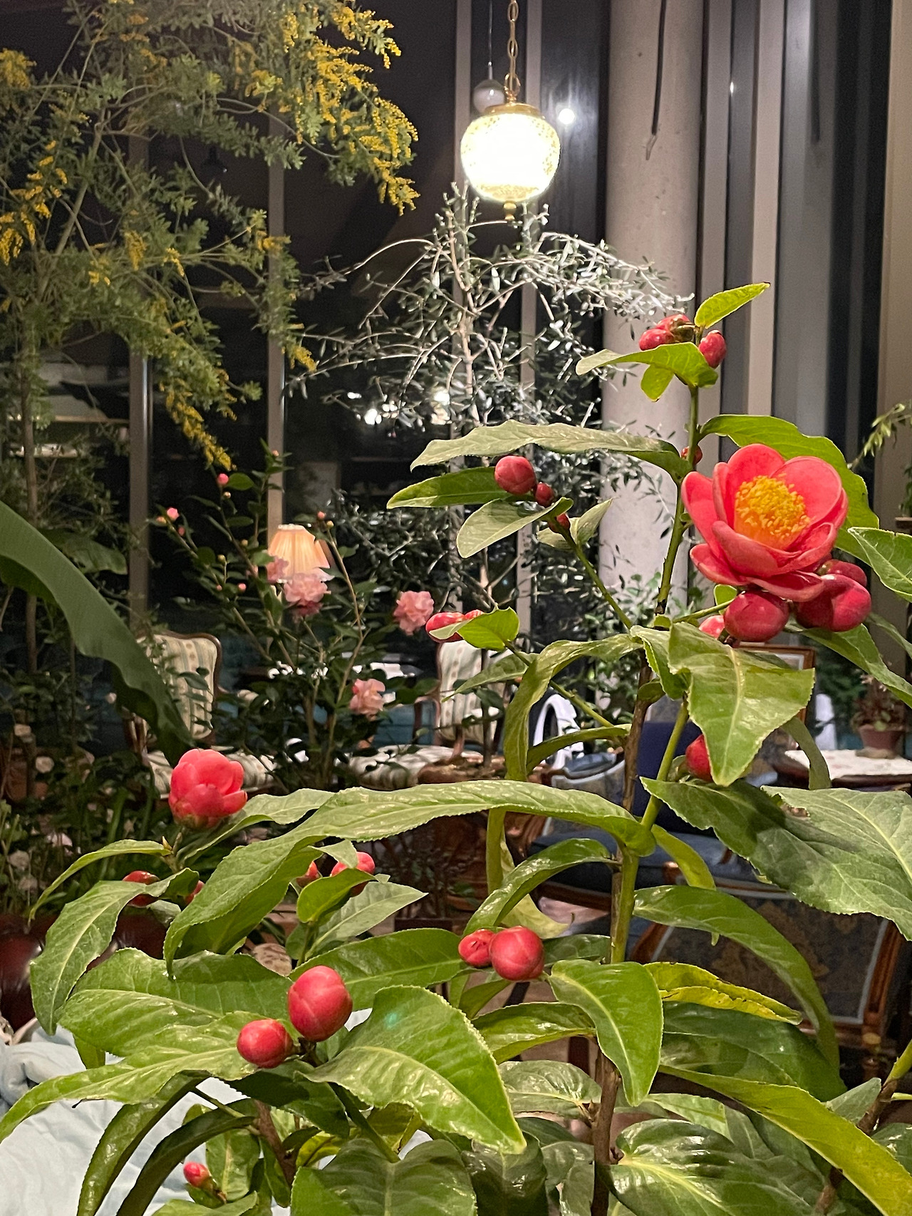 KakaoTalk_20230225_004703538_05 (1).jpg