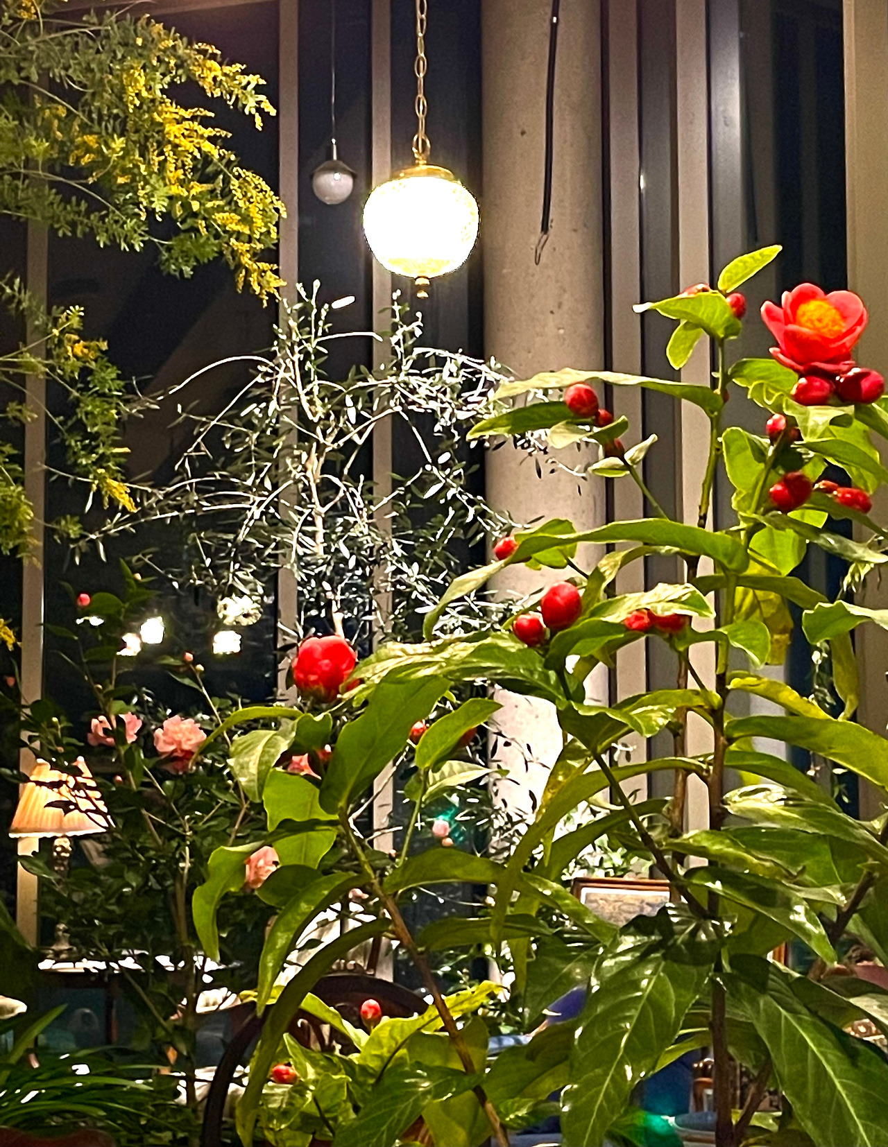 KakaoTalk_20230225_004703538 (1).jpg