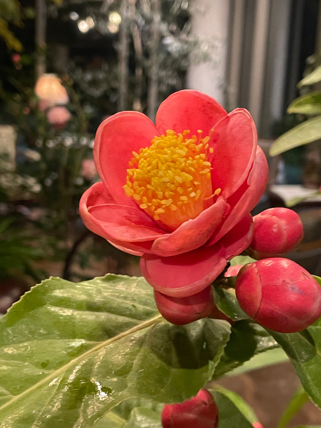 KakaoTalk_20230225_004703538_08 (1).jpg