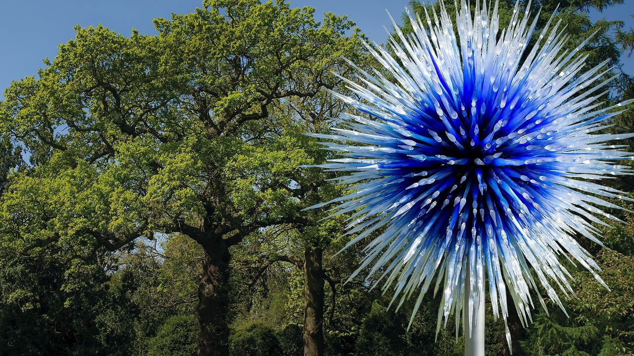 Dale Chihuly, Sapphire Star, 2010 final © Chihuly Studio_0.jpg