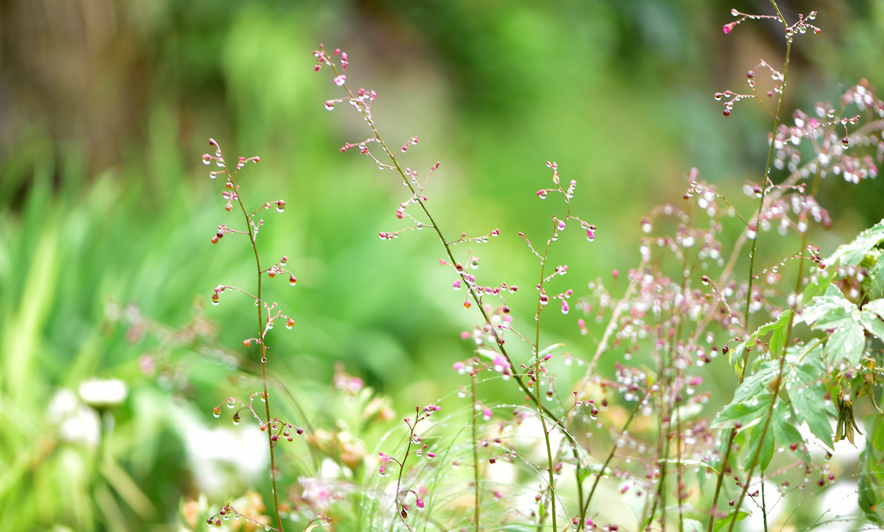 전등사 3.jpg