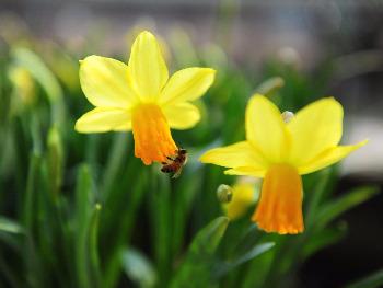 미담재 2011.봄 01.jpg