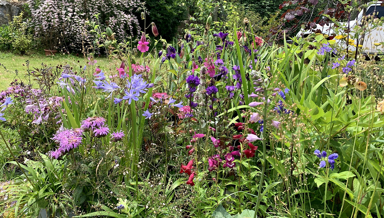 IMG_8052  수입 합식 .jpg