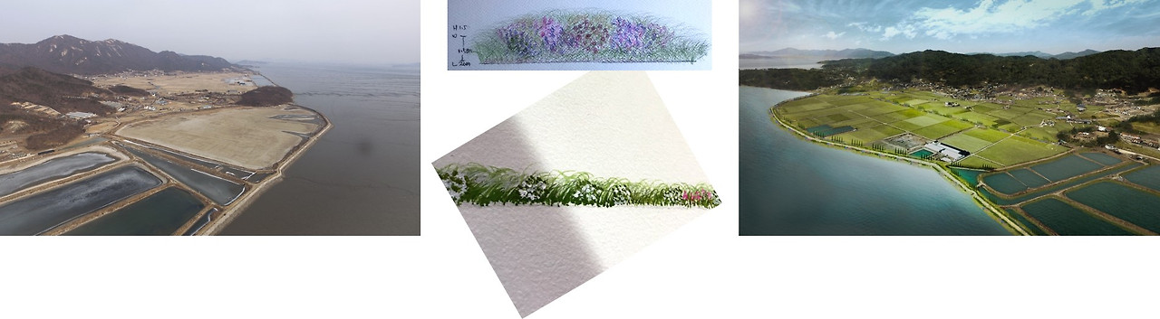 Costal Edge Design -by Evol Young Rang Kwon.jpg