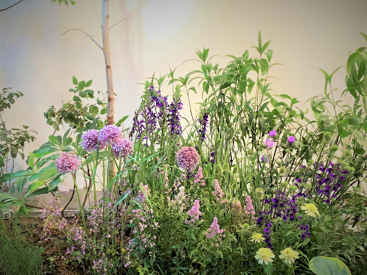 KakaoTalk_20210720_105205488_16 (3).jpg