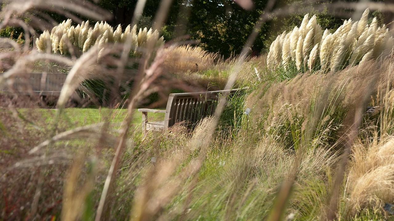 Grass bench.jpg