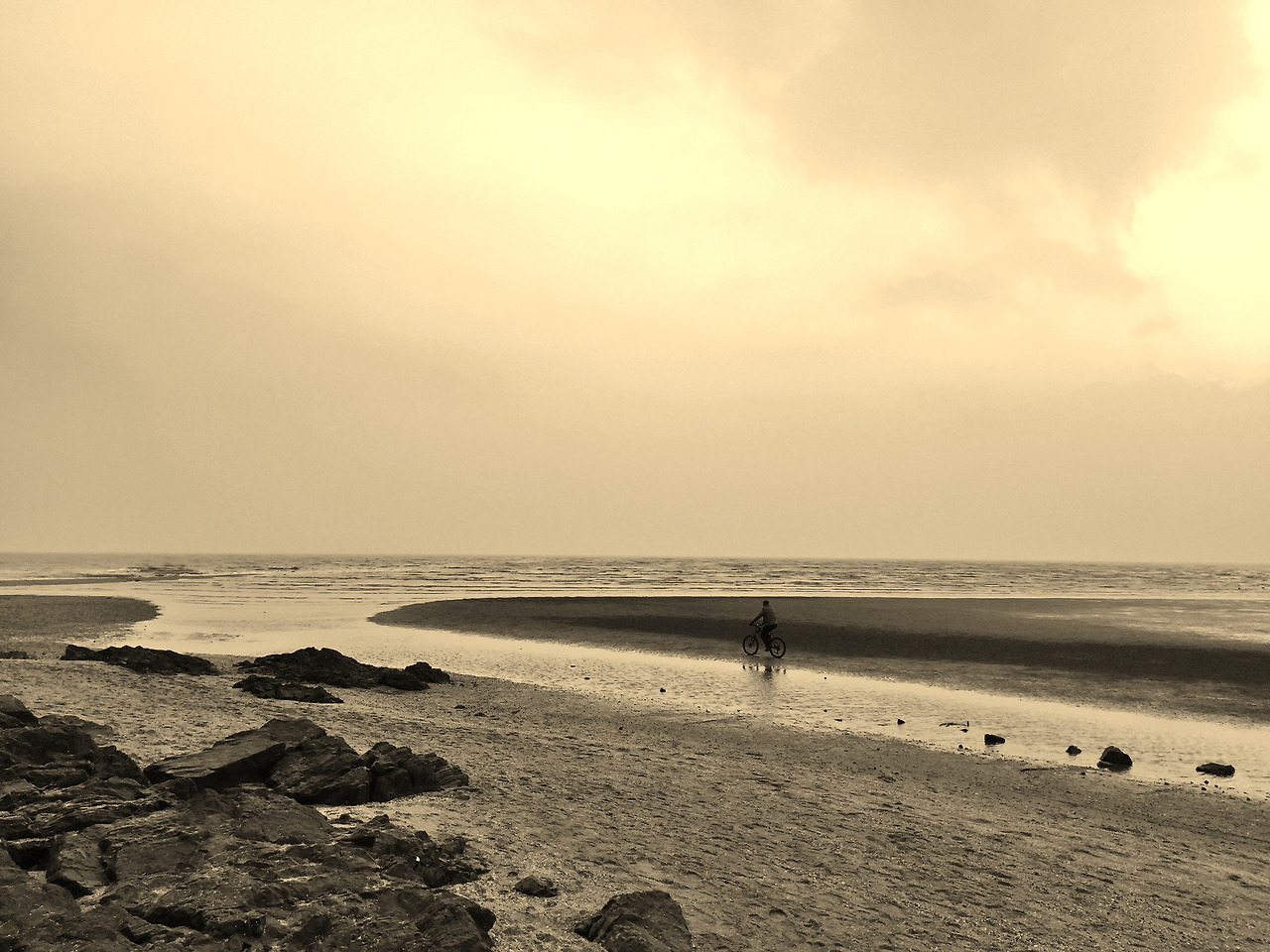 류재영 교수님.jpg