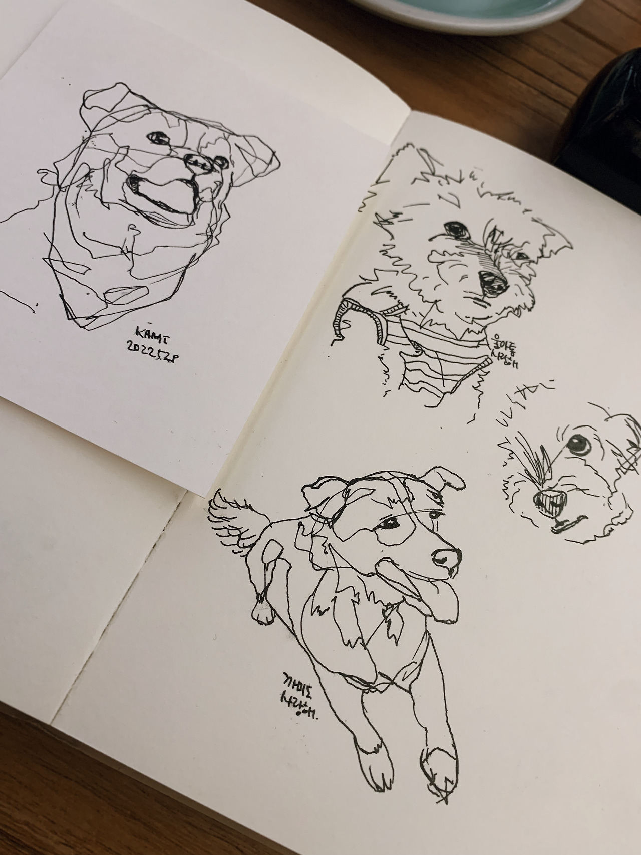 사진 2022. 6. 1. 15 03 44.jpg