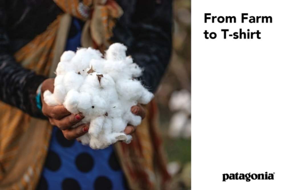 20200904_patagonia (1).jpg