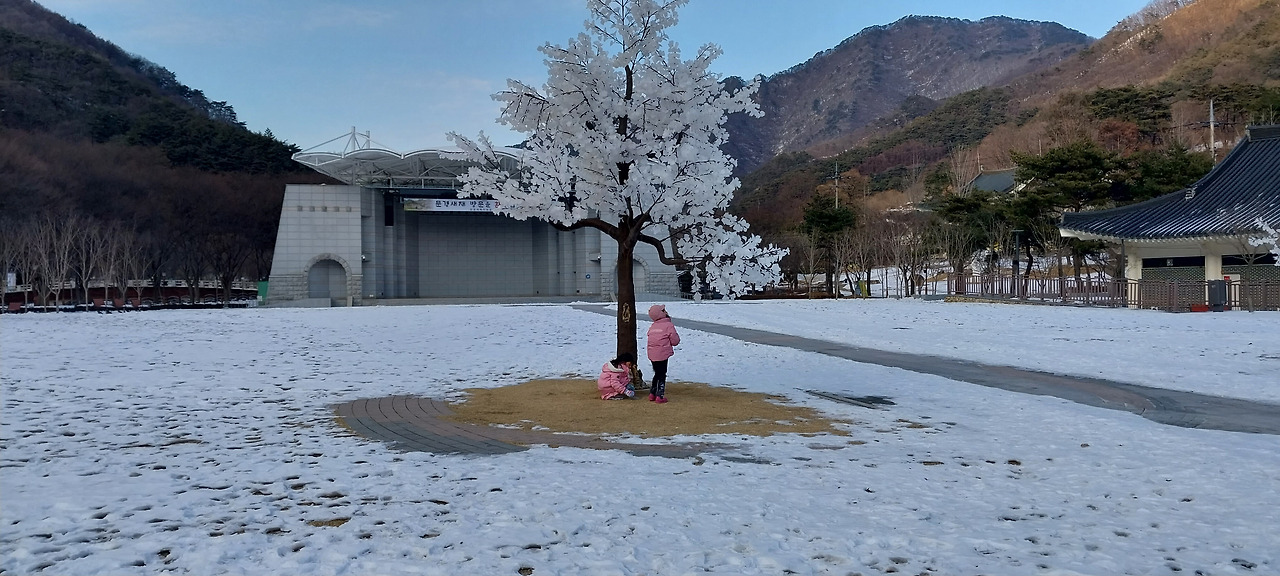 양육에 정답이 있을까.jpg