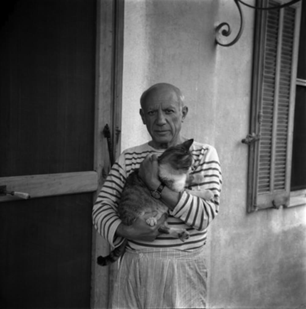아티스트-고양이-파블로-피카소Artists-and-their-Cats_Pablo-Picasso.jpg
