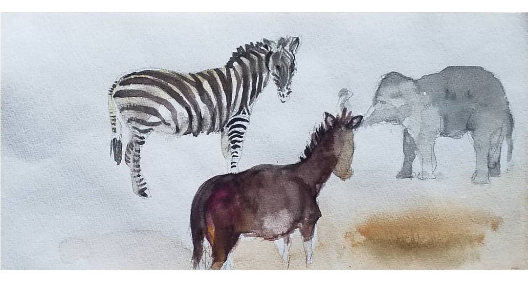얼룩말.jpg