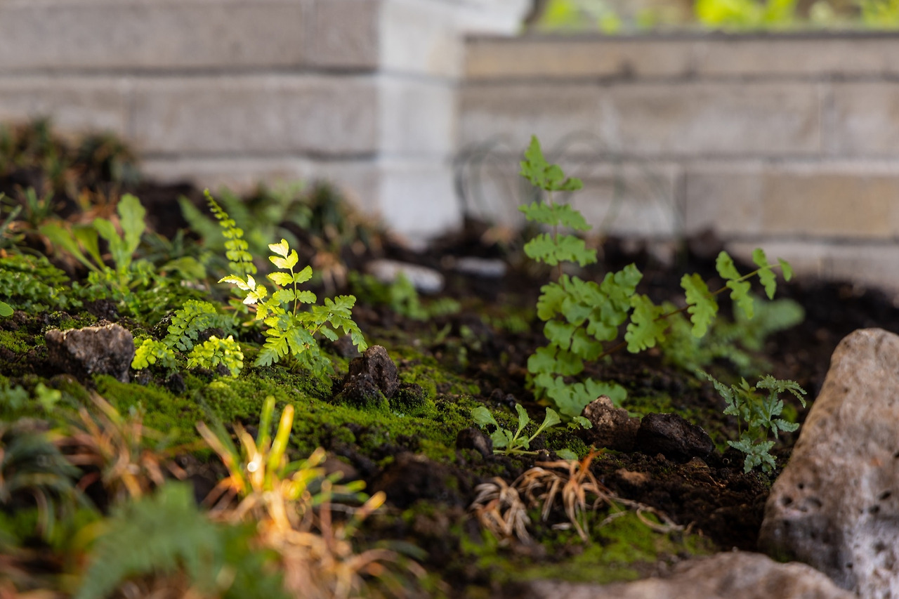 7 복사본.jpg