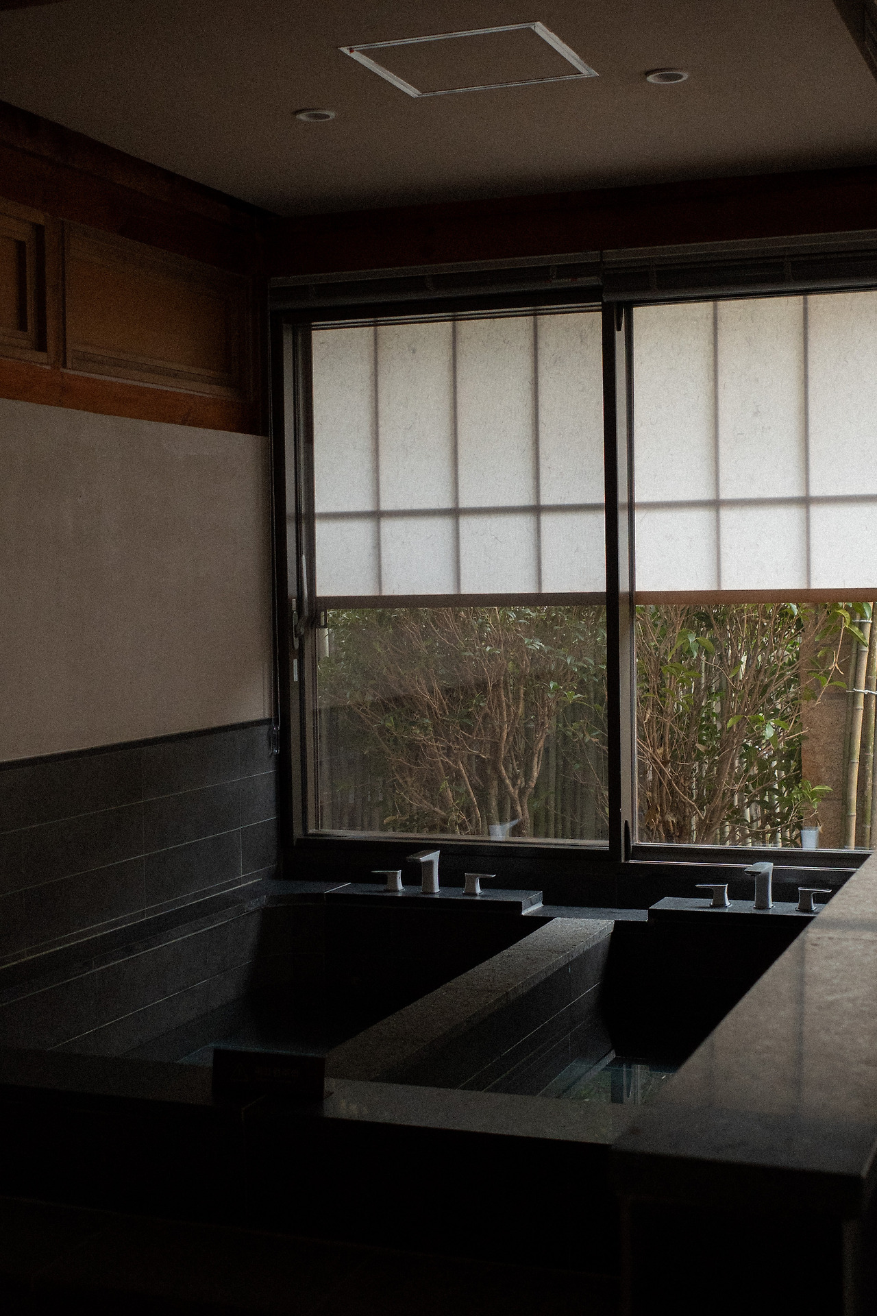 10 아침, 련 5.jpg