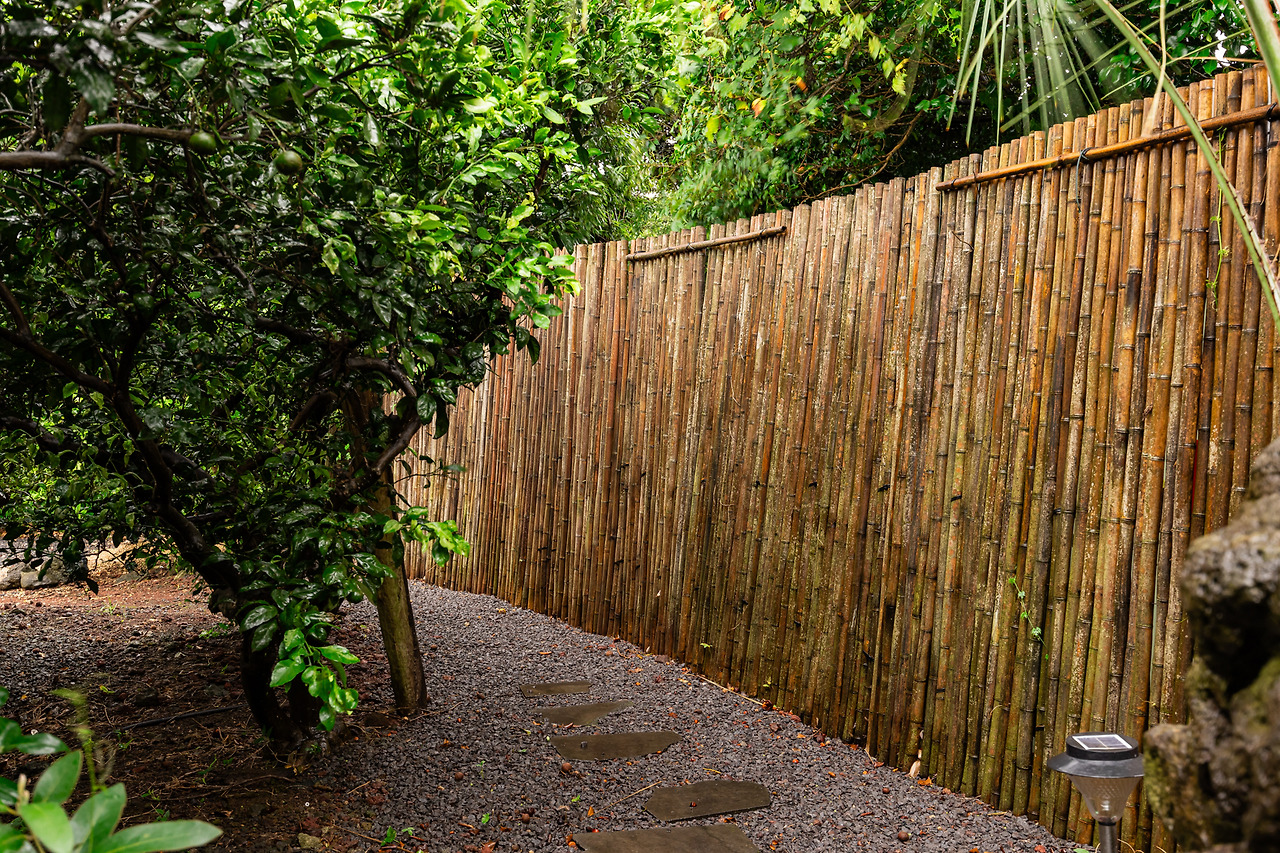 택하다, 스테이 (8).jpg