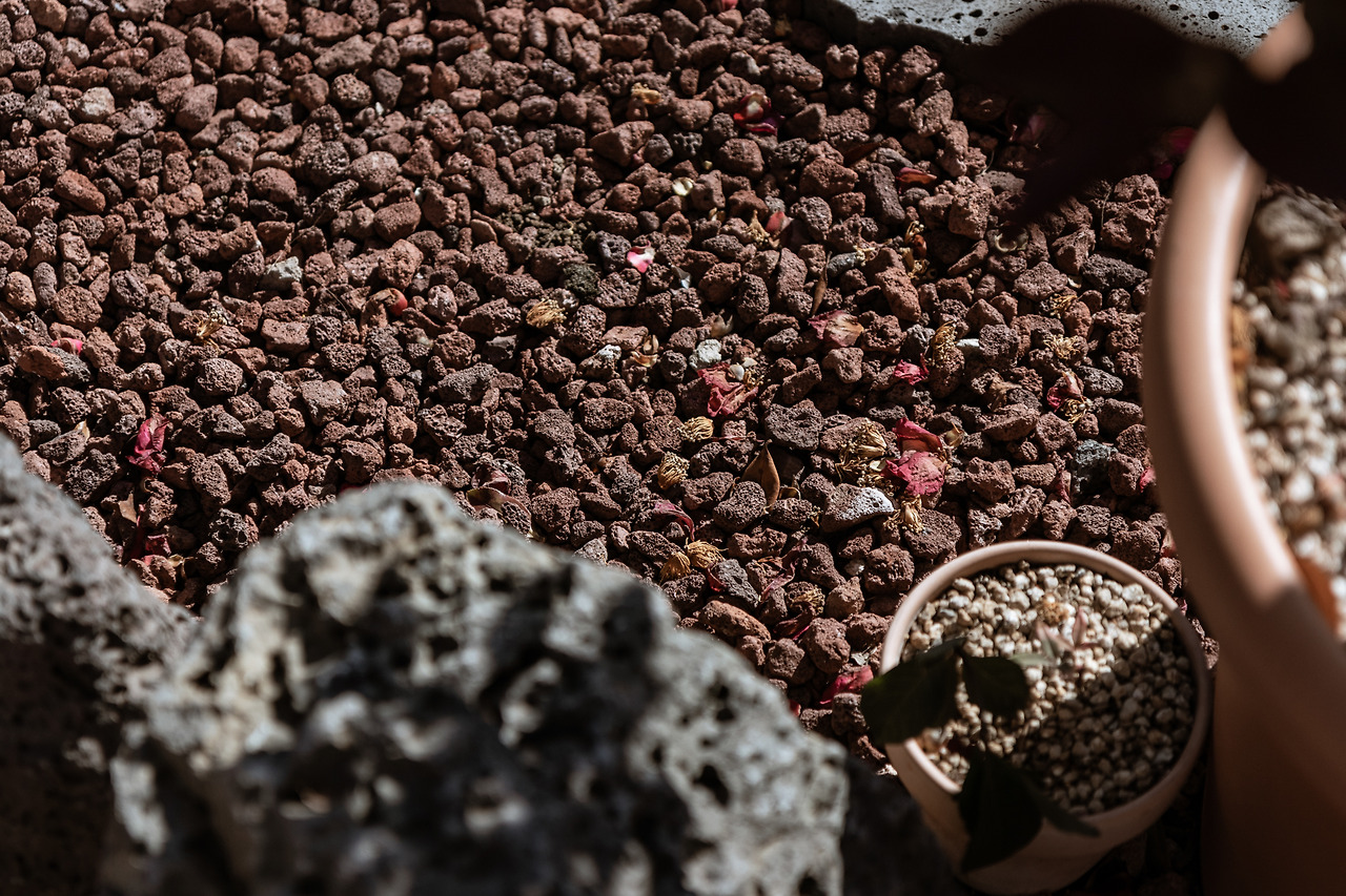 6-3 마당03.jpg