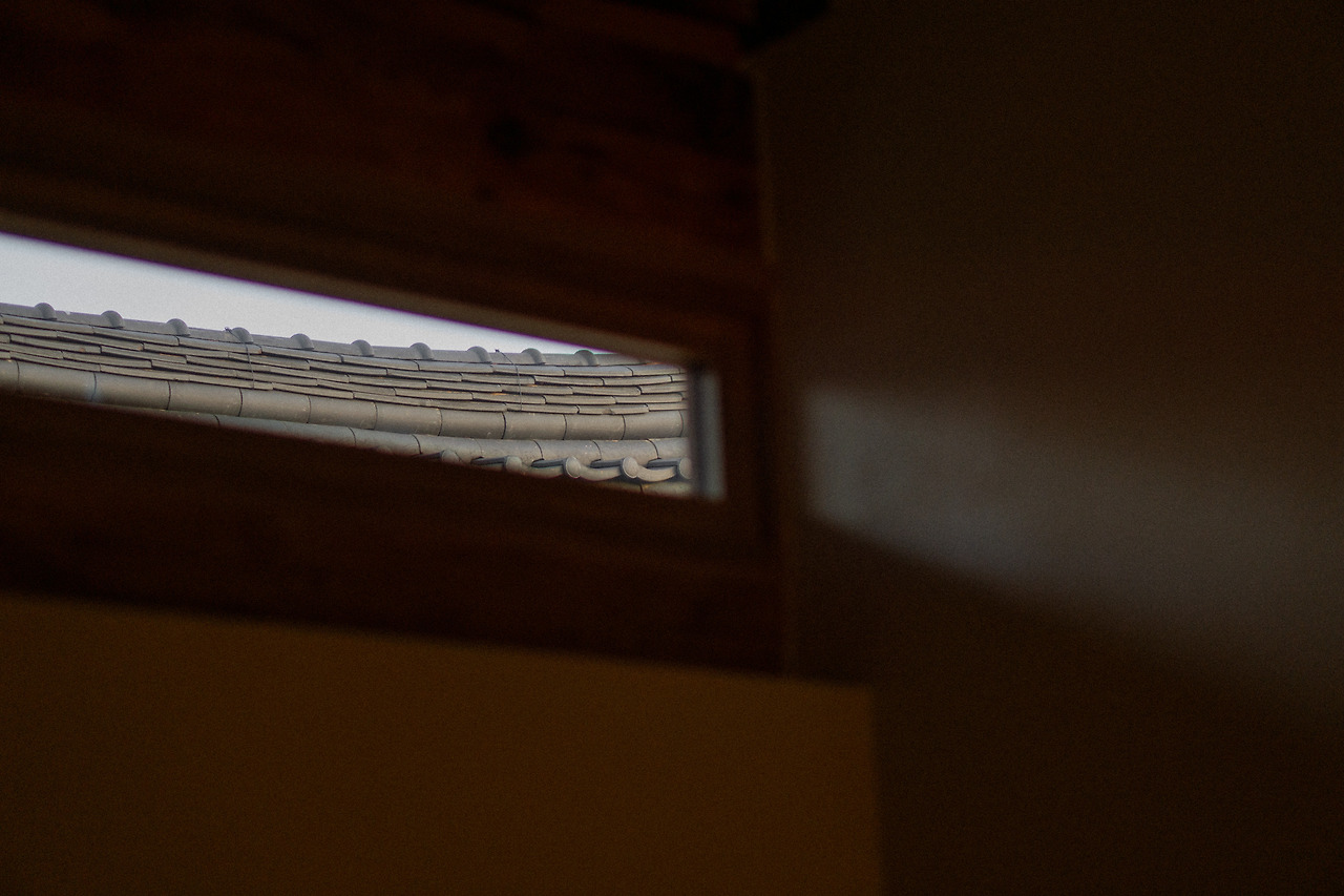 10 아침, 련 1.jpg