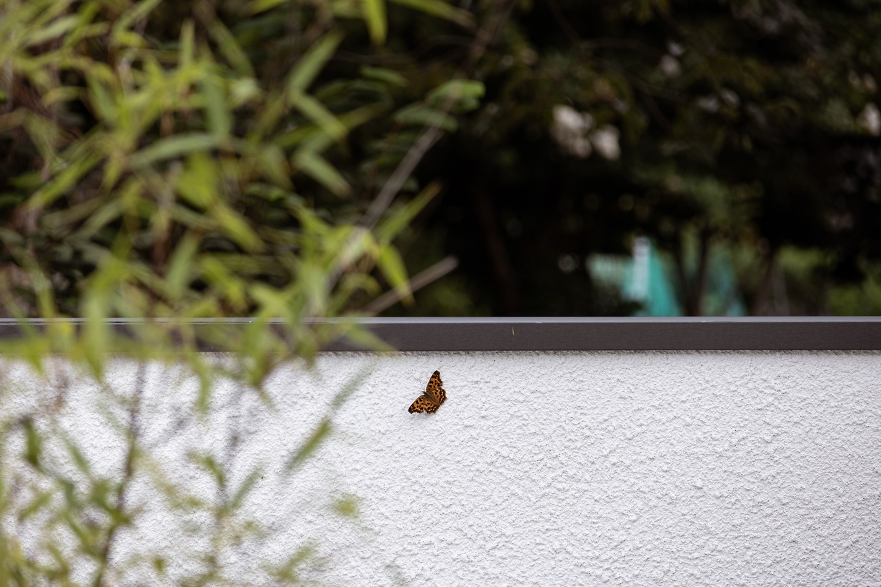 저동하녹47 복사본.jpg