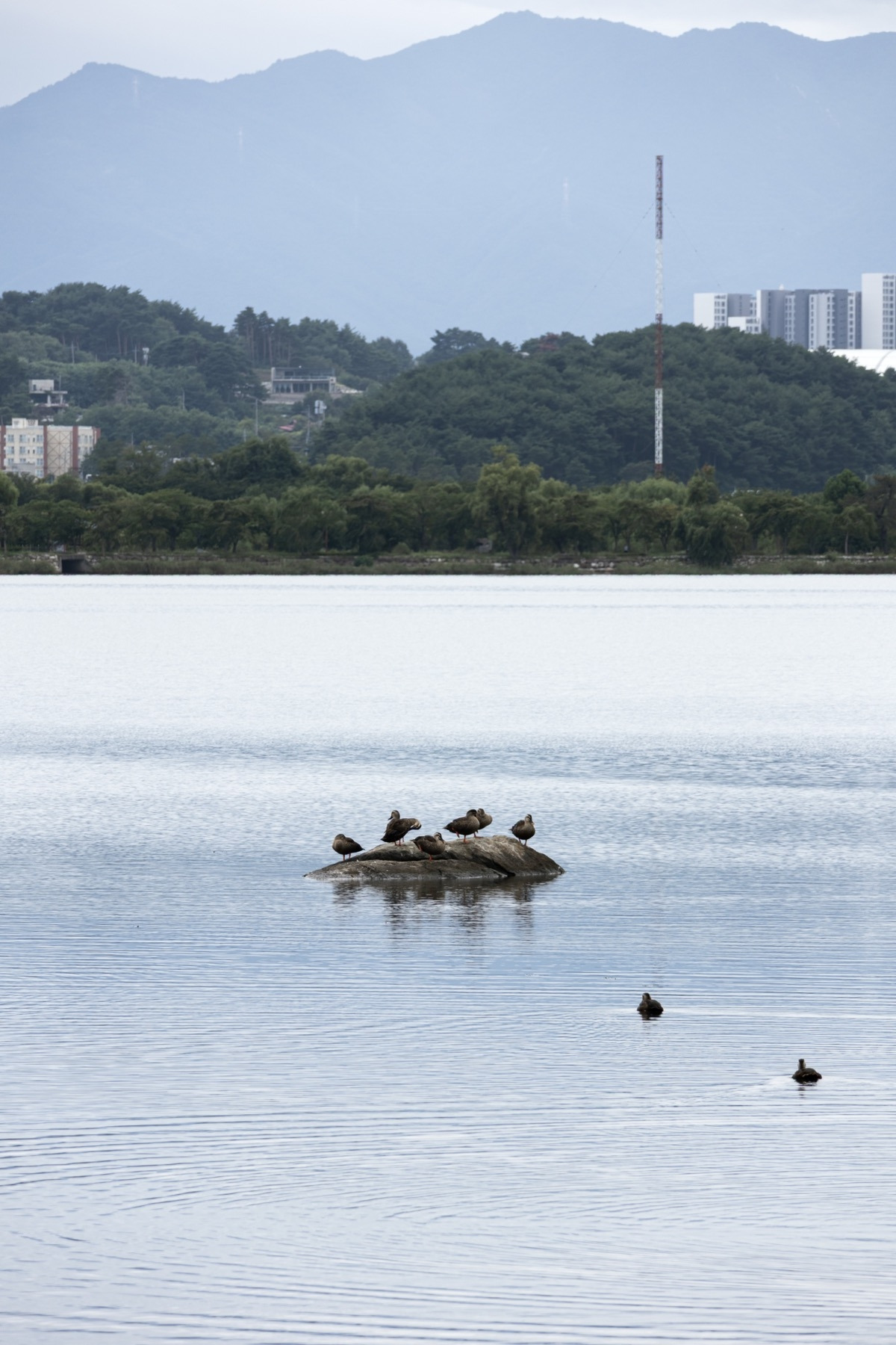 저동하녹33 복사본.jpg