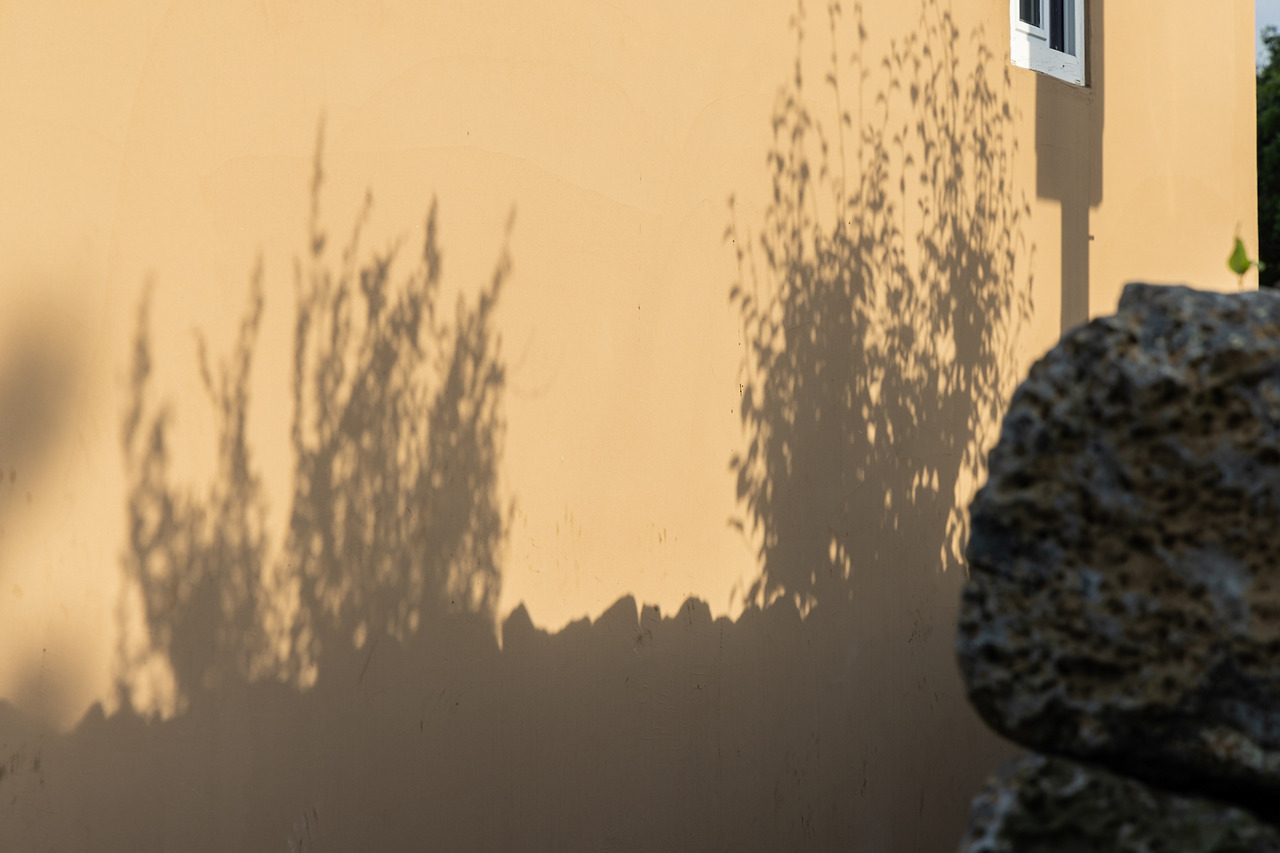 (스테이폴리오) 몽중정원 (12).jpg