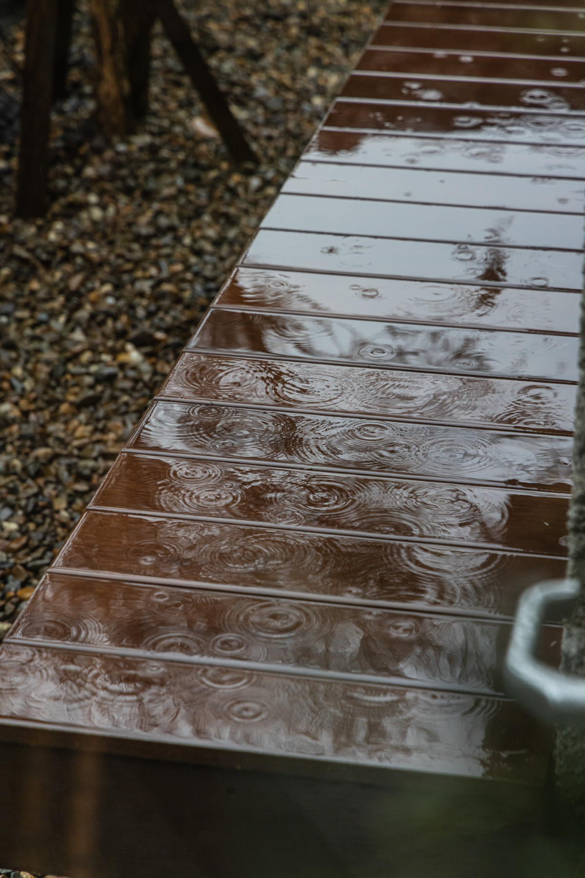 (그슬) 밤 (26).jpg