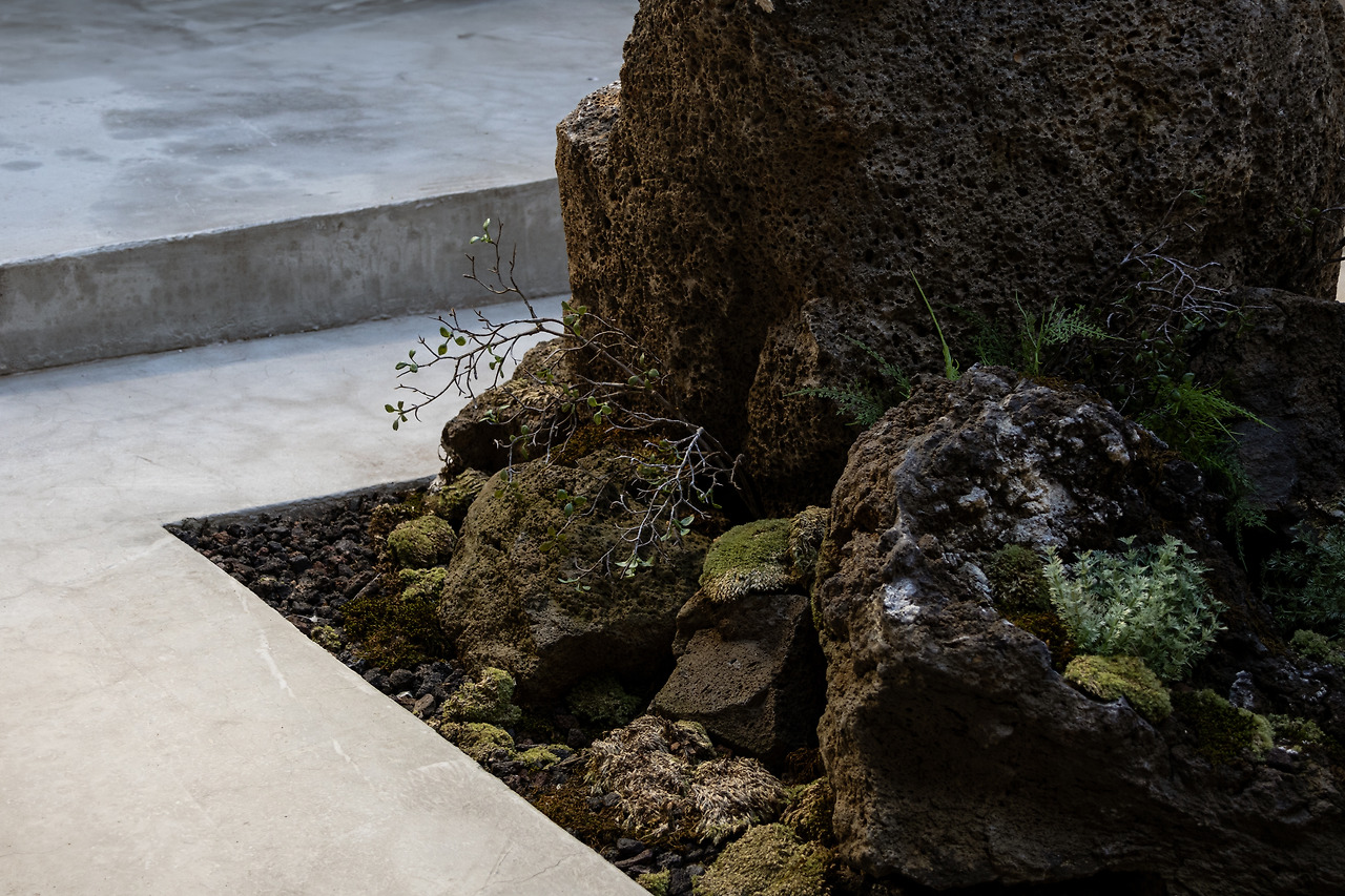 나비잠 (56).jpg