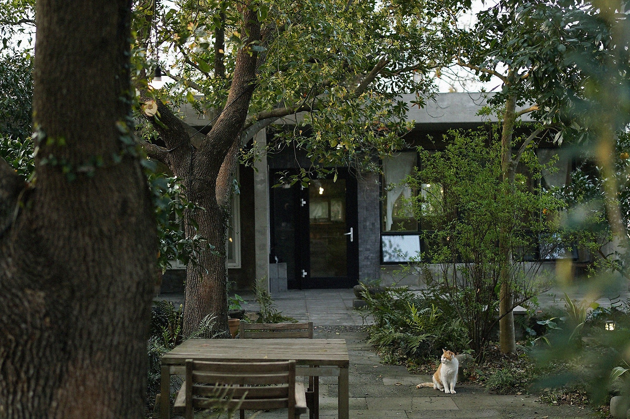 DSC02228 복사본.jpg