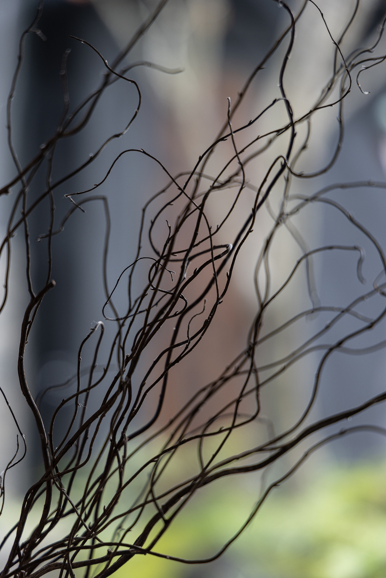 (스테이폴리오) 보스케-54.jpg