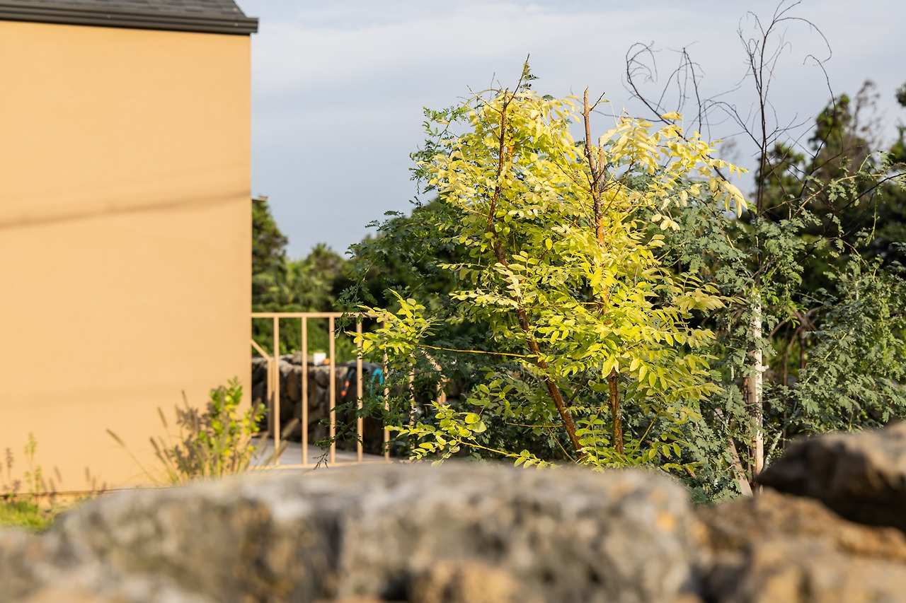 (스테이폴리오) 몽중정원 (8).jpg