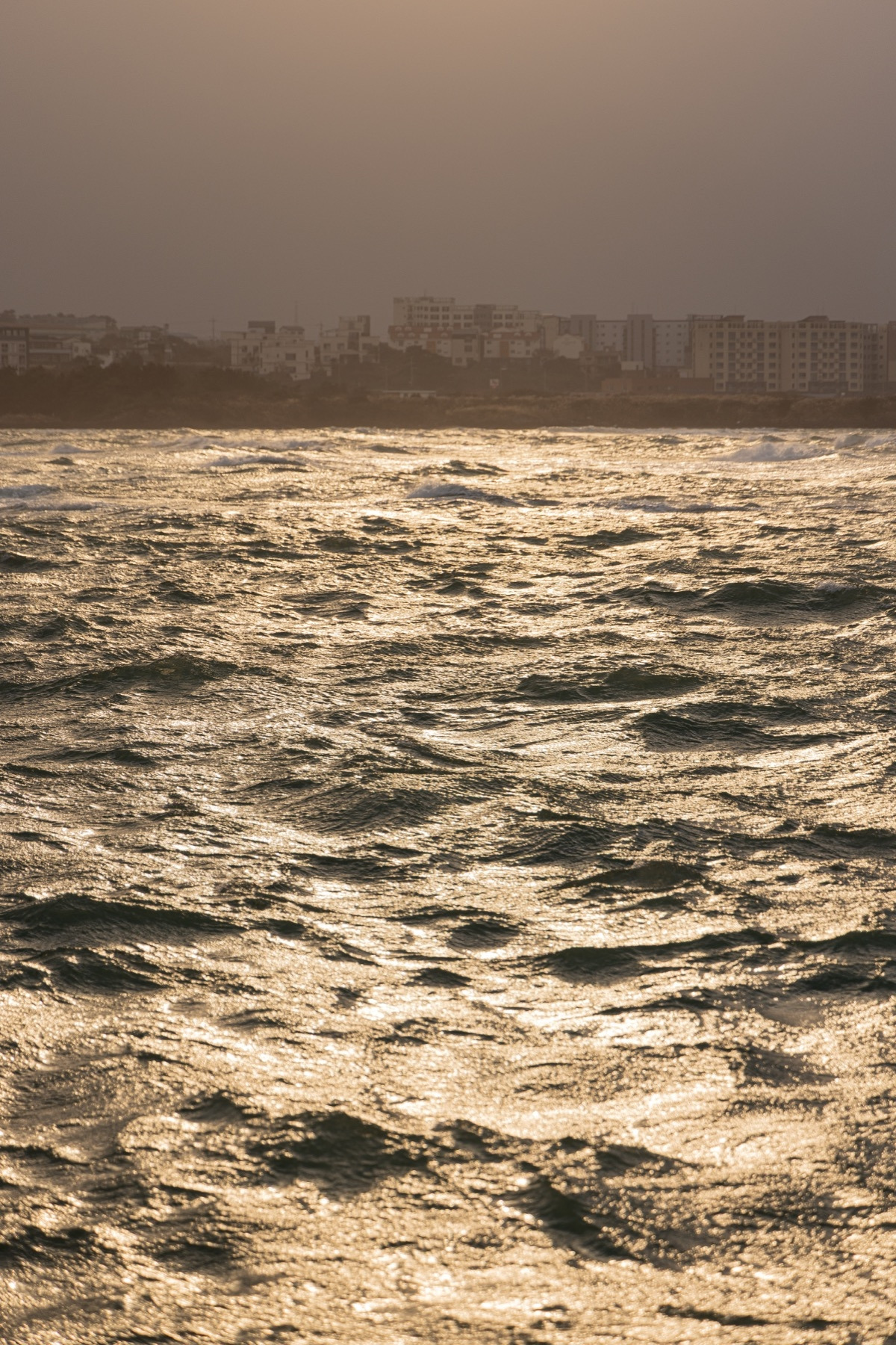 (스테이폴리오) 스테이 밀밀_00034 복사본.jpg