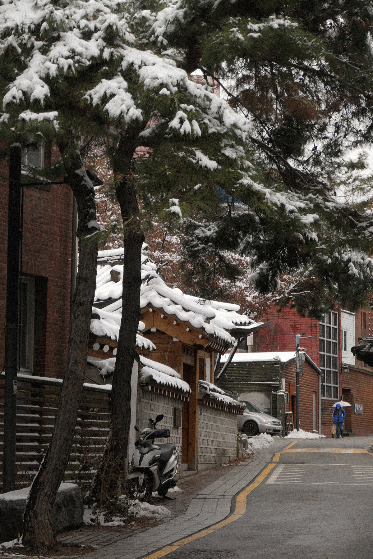 더채하우도 1.jpg