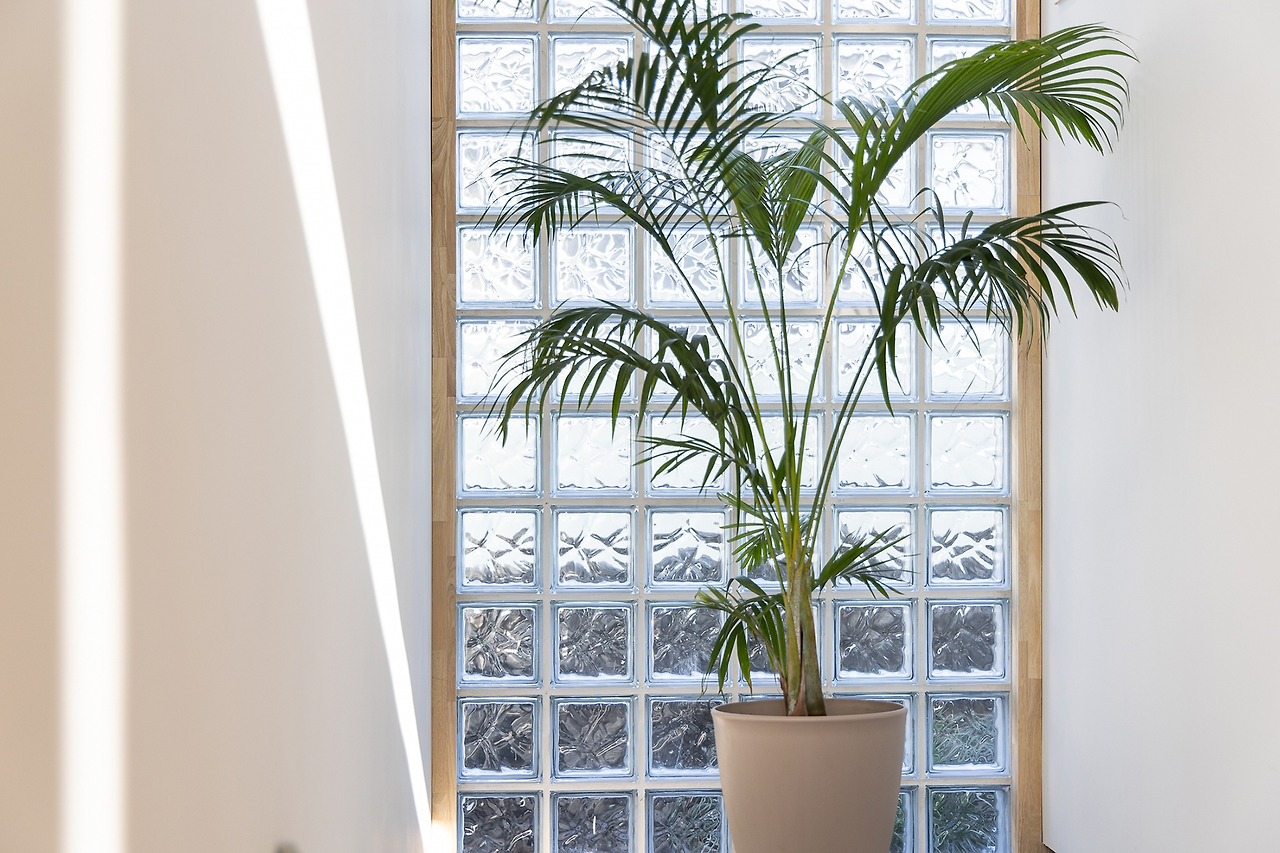 (스테이폴리오) 별시도룩-07.jpg