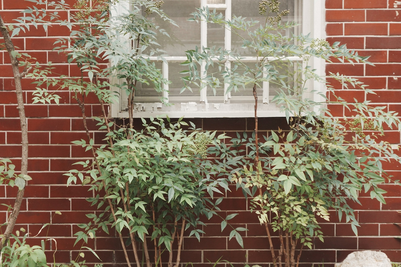 사진 7.jpg