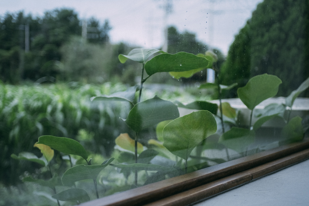 유온스테이 외부2.jpg