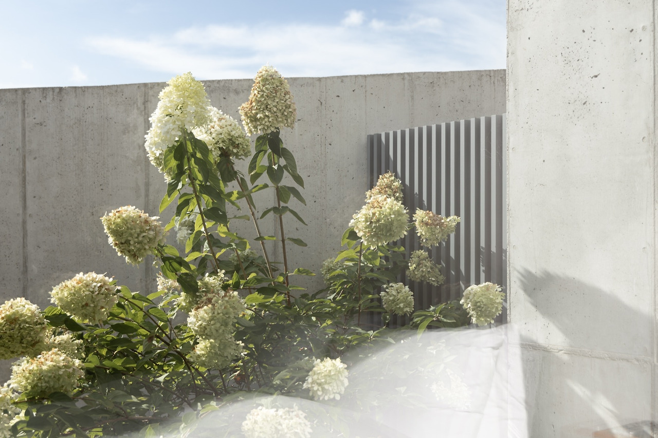 연와38 복사본.jpg