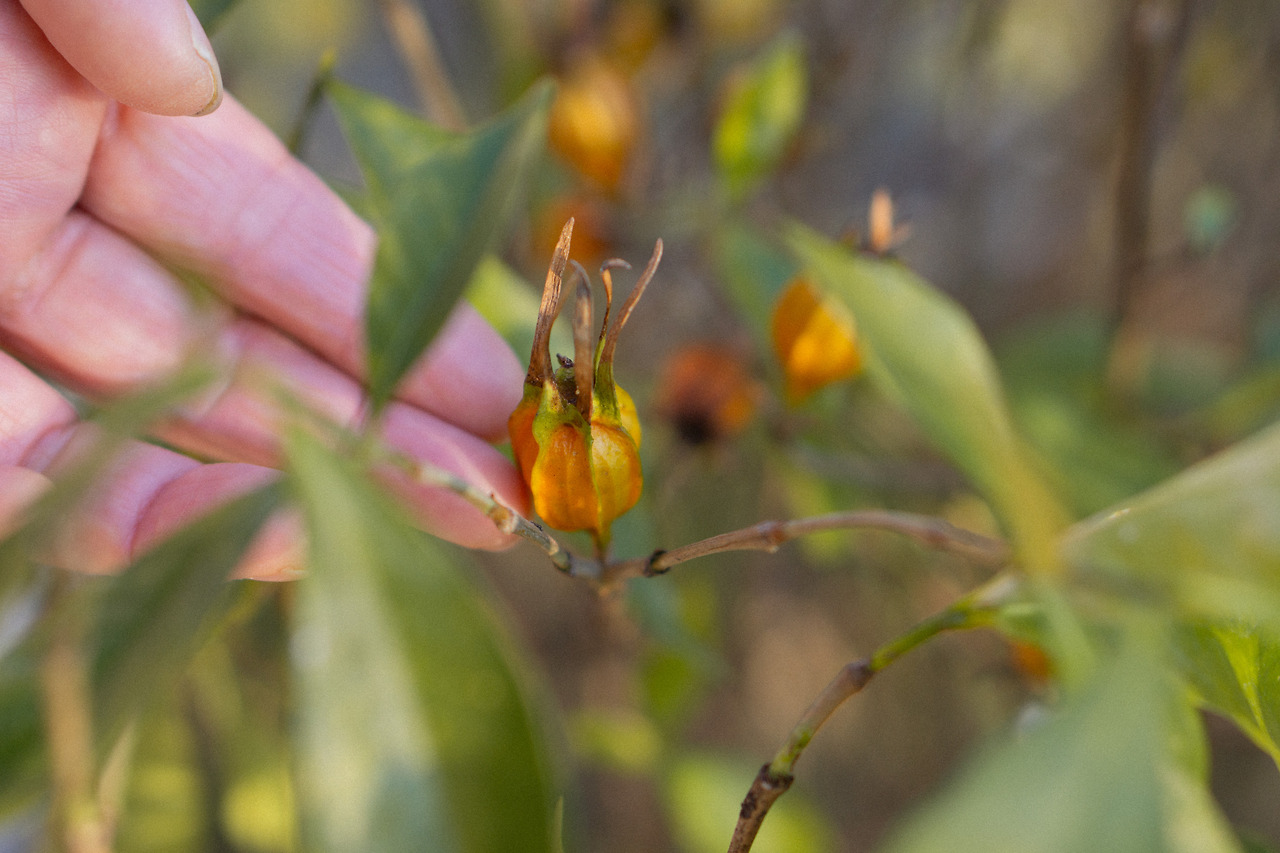 6 객실, 정원 6.jpg