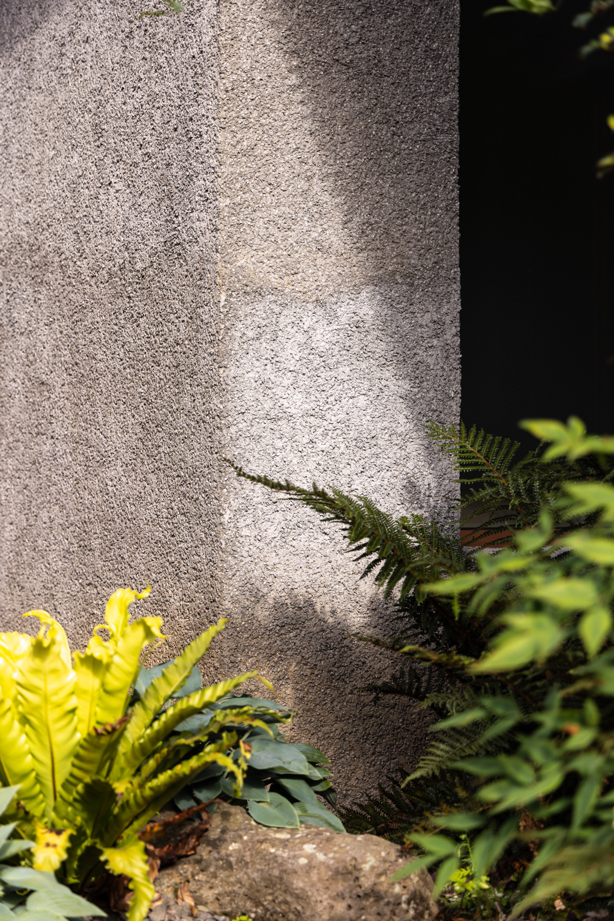 0. 소요소림 - 외부 전경 (8).jpg